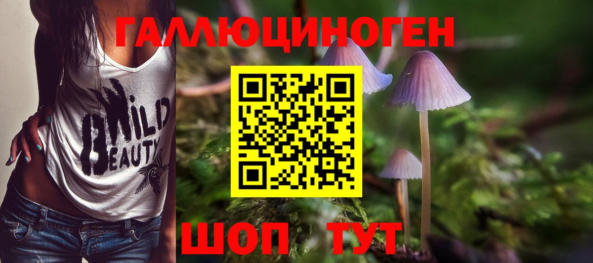Галлюциногенные грибы MAGIC MUSHROOMS Кореновск